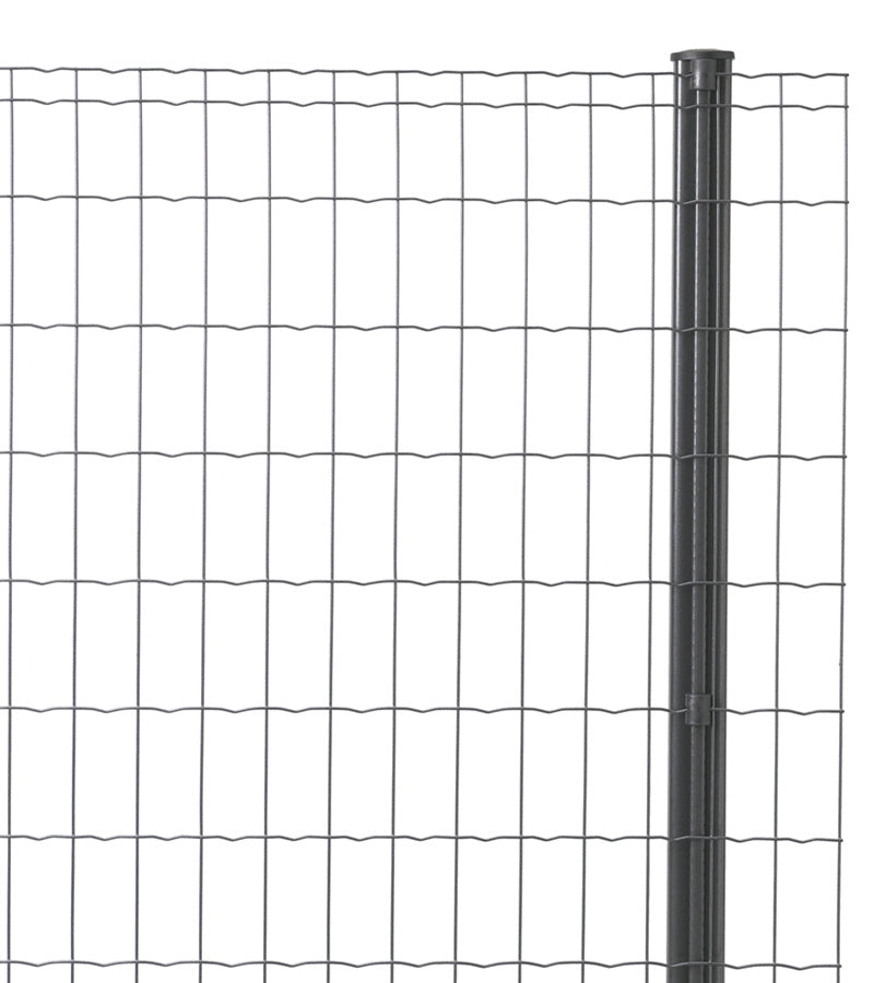 Siatka ogrodzeniowa Pantanet Family z drutu 2,5mm